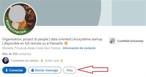 Guía para ligar en LinkedIn